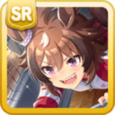 Shinko Windy